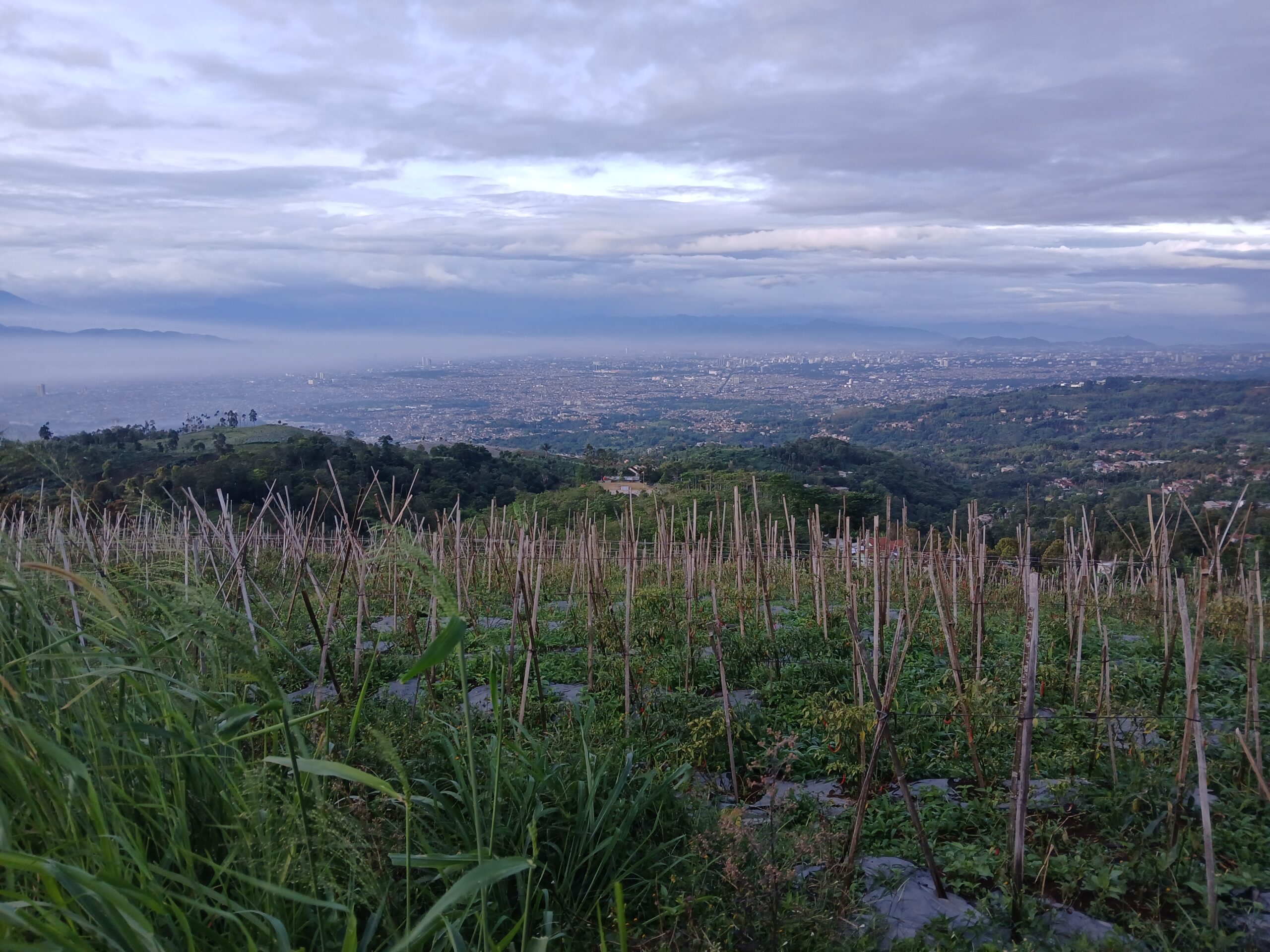 Inovasi Teknologi Informasi: Tren dan Tantangan di Indonesia
